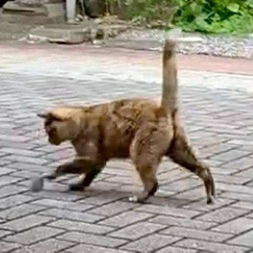 B72eacc0 0a49 4378 9e08 3cb4faeedda9 1750643139164