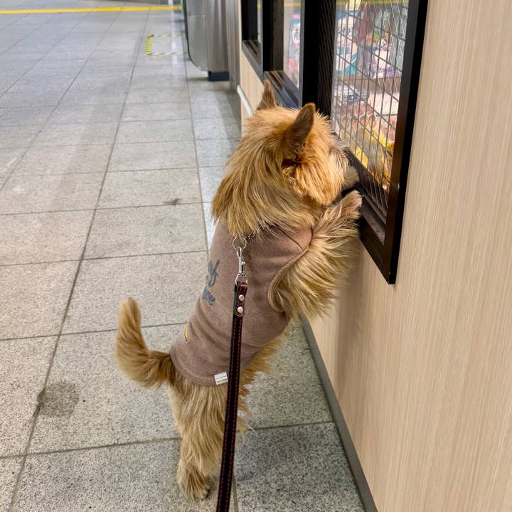 B72ec314 b4d5 46df 9ed0 bc0d659a6208 1767903370558