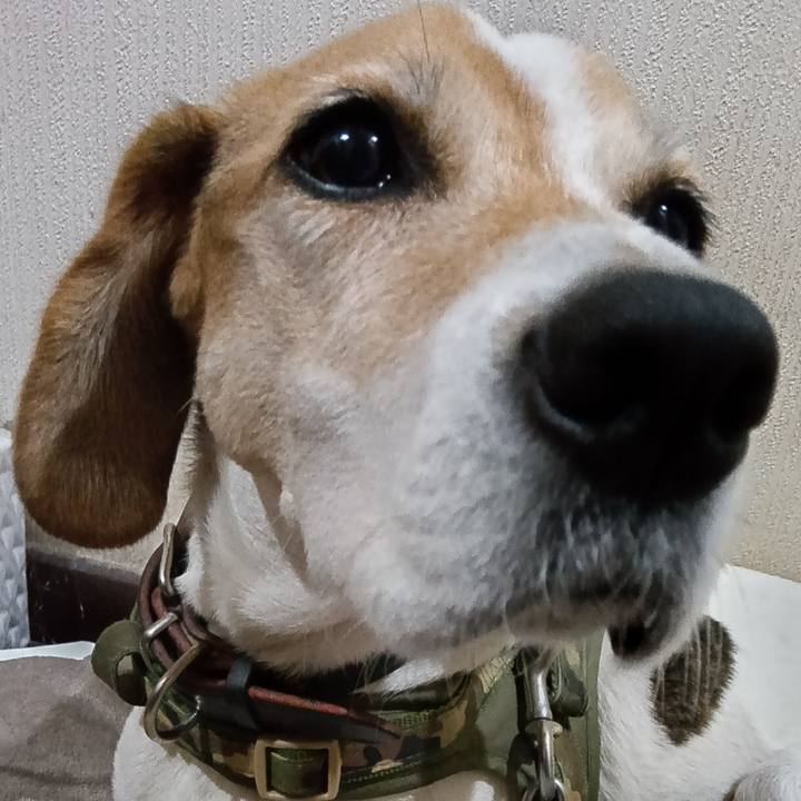 B72f0898 c70a 4943 8cbd 052409456e7d 1733821422714