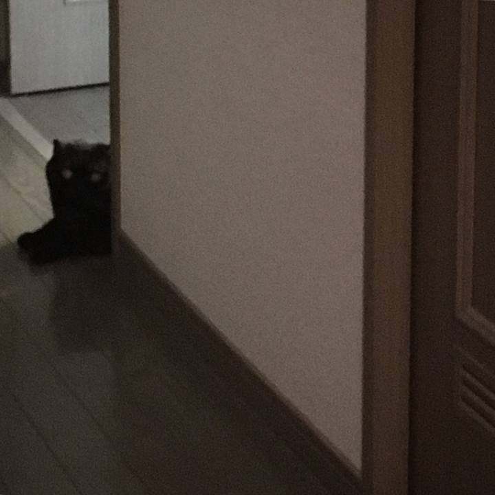 B72f08ac 0828 4201 bc03 87eda7ecfac8 1538809323798