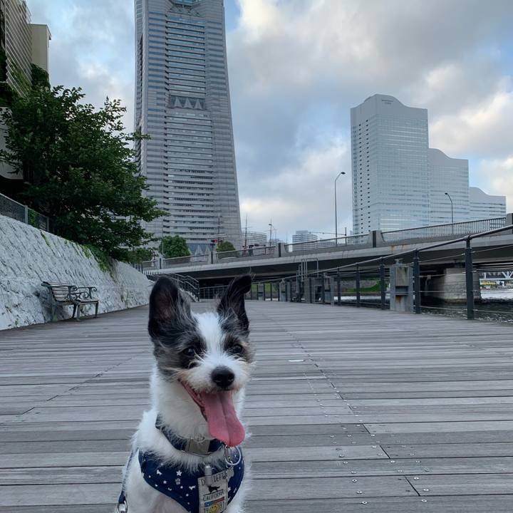 B72f1c64 55c5 44c8 aabf 5363e125b169 1564218606082