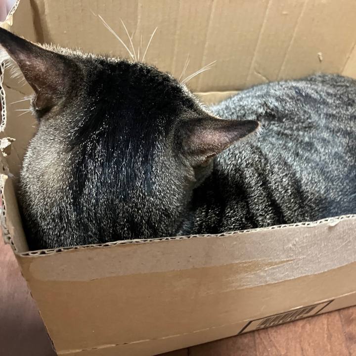 B72f3047 d822 4d29 a961 7bc17d26ac2c 1760256277761