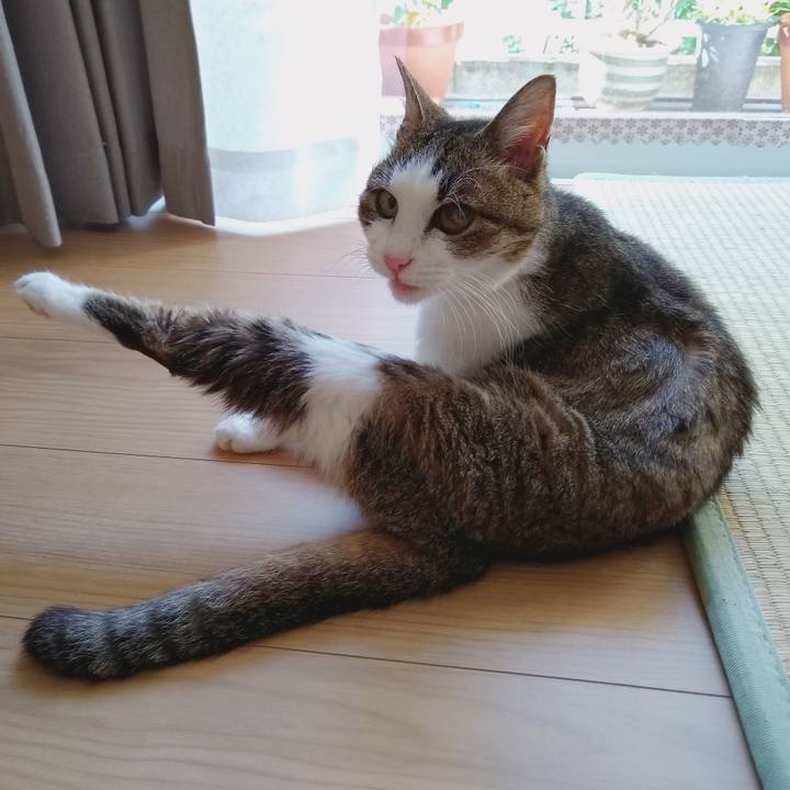 B72f4d27 665e 472c 93c1 dc696cd56575 1561246236942