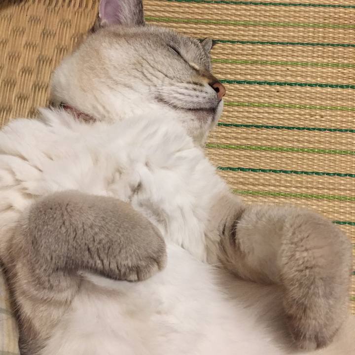 B72f6ddf 1531 4656 8503 e9348eb3392c 1569153742240