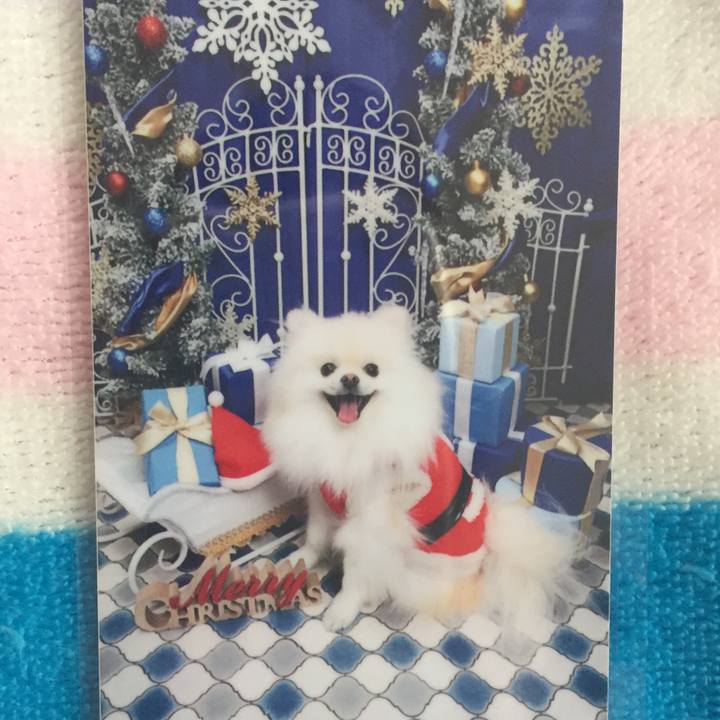 B72fa69d 1a0c 4dc0 a9f9 644a65b24f0c 1543037381258