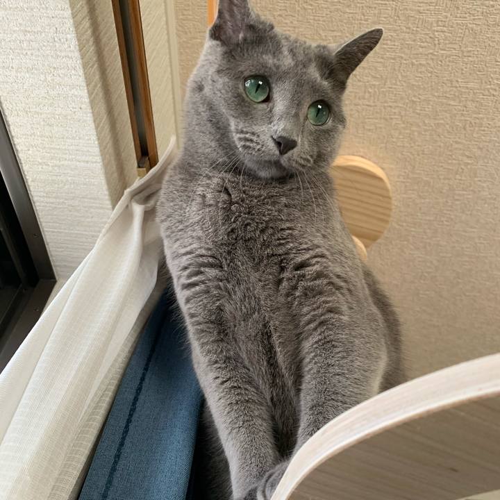 B72fb13e 3ecf 49e3 9aa1 65b43c340d47 1591754330989