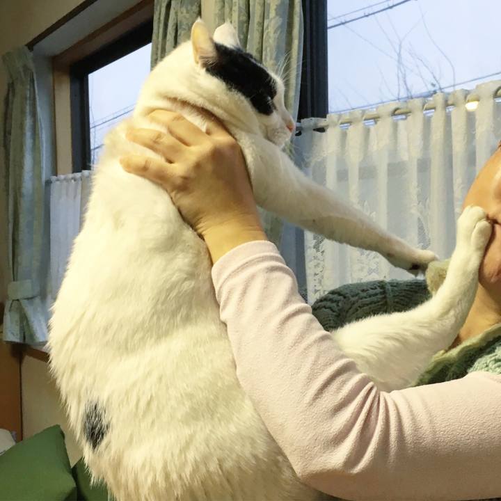 B72fd76a 5633 46a8 8080 e21c7a752388 1517313299572