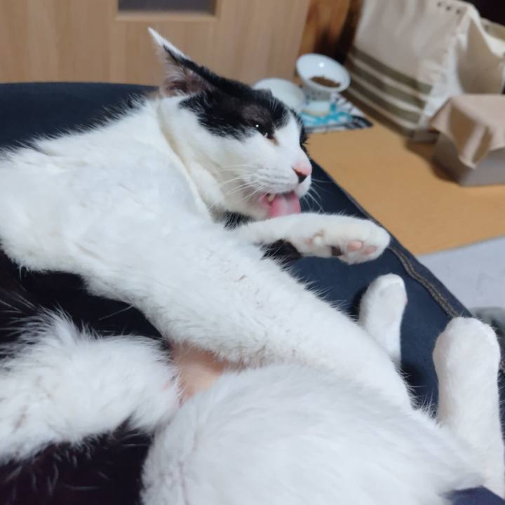 B72fe155 5ea8 4b9a bf9b 1b112c8a7454 1767148394057