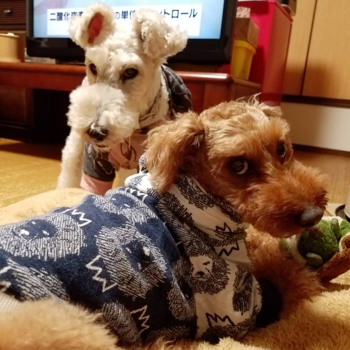 B72fffd2 3be1 4d18 9638 3d053d78a621 1574424948128