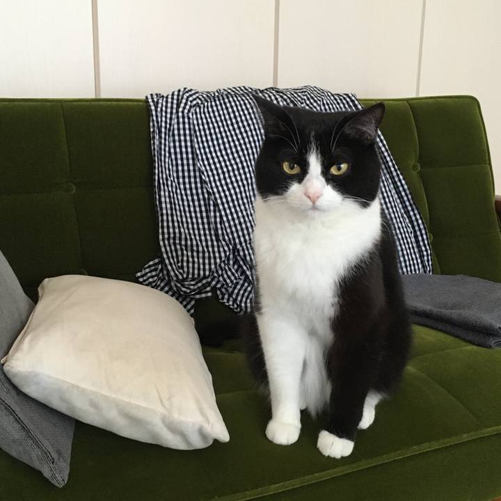 B73000b2 08cb 449b adc7 5cb2585cc68f 1589959464283