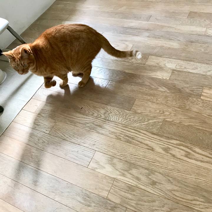 B7300a51 fe3e 4522 87a6 939701927f24 1510455157584