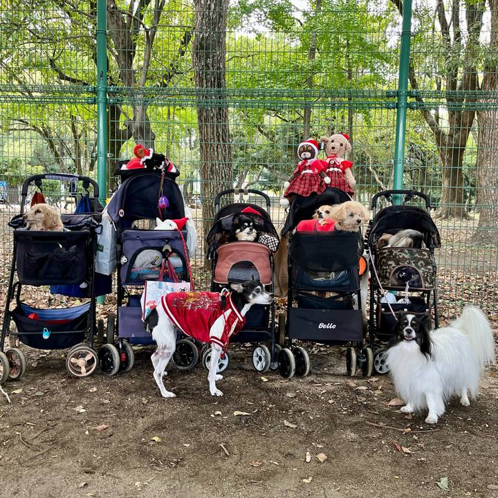 B730523a 99c2 4005 a179 e05ed436f800 1636867679650