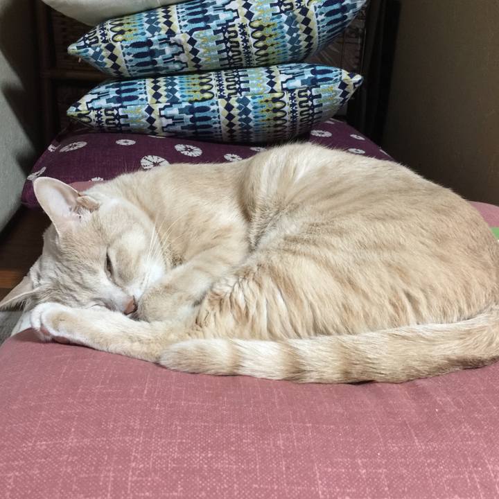 B7306d9d 52f3 4f07 b758 93bdae61d812 1527683813330