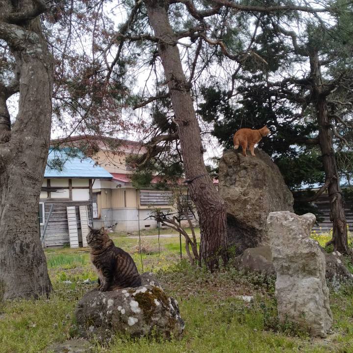 B7306f75 2dbc 46a5 86a7 f68a6de9d789 1713431639409