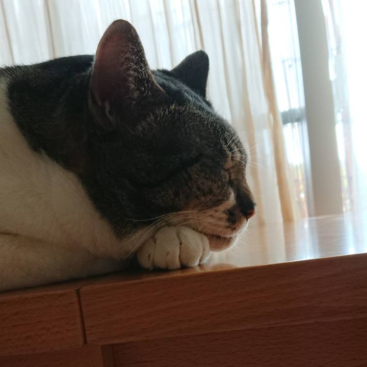 B7307c32 49b4 4326 888f af3df77f2b2d 1564278488161