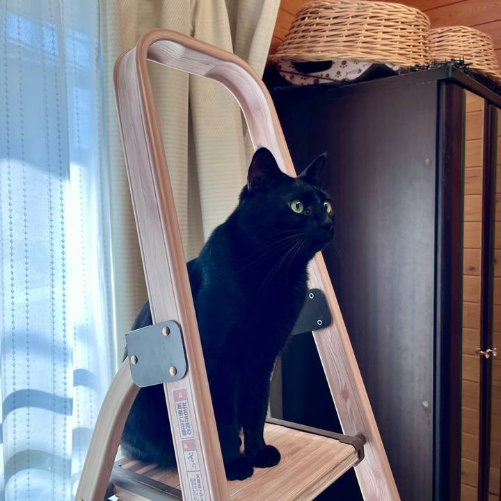 B730a158 29fe 42b3 91a2 089ed2ed9cd9 1766199498365