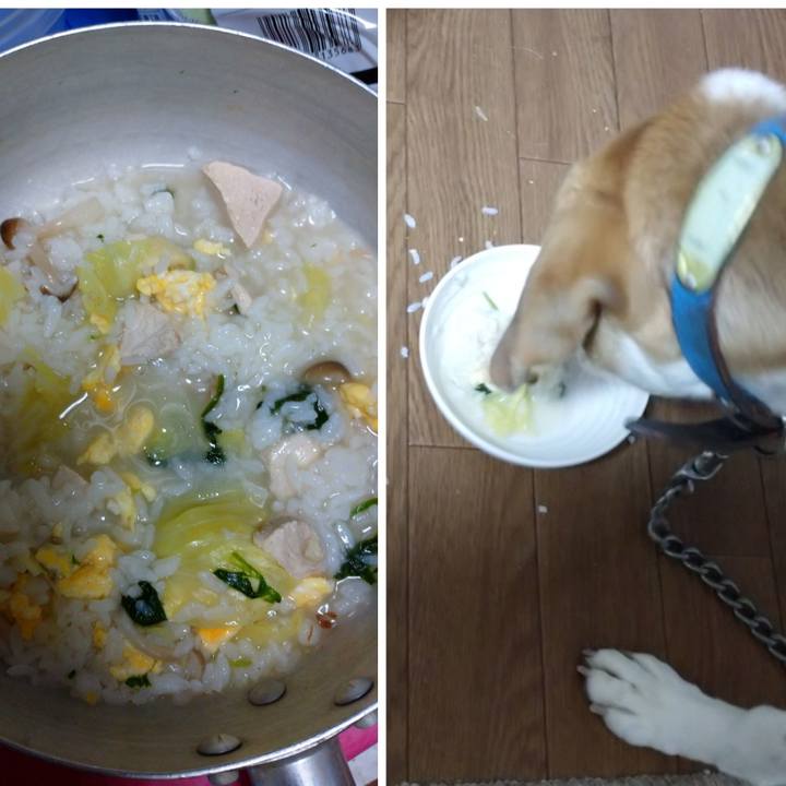 B730a51e eb2a 4d26 ac95 da42d431b512 1615000788837