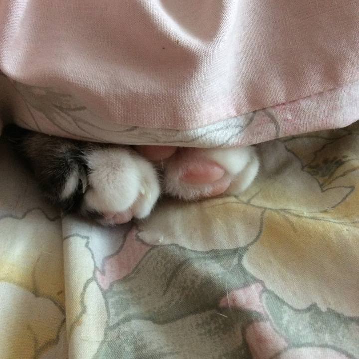 B730e6d1 054e 448f 877a e1b1f8700897 1771454451547