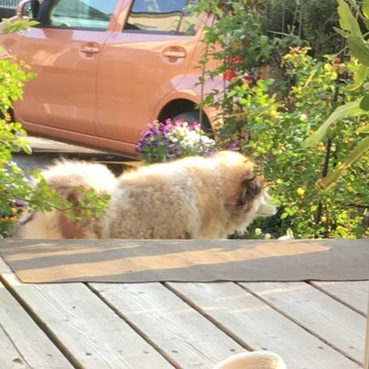 B7313ef1 f192 44da a580 53a35aca12ba 1586971057334