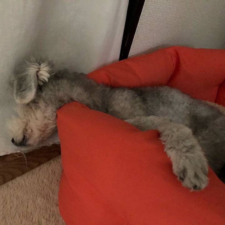 B7313f5e f6cc 49dd bb97 9da04bd28949 1559602657861