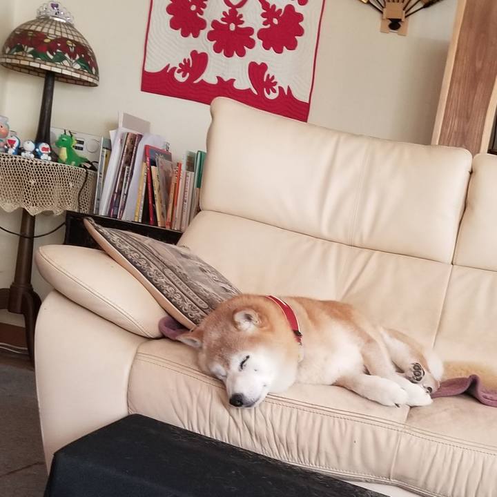 B7317fc3 0ab7 4ffc bbaf dec03d3d4457 1752114602302