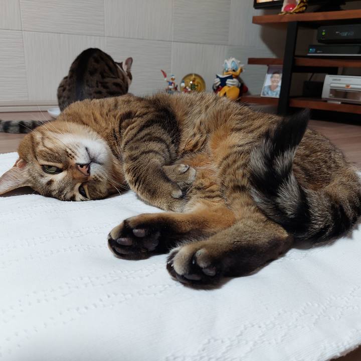 B7318d15 5802 436e b4ad 6ce70d9accd3 1647779489661