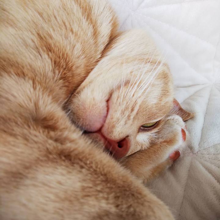 B731b55c f7e3 4bd6 9247 5cf40e2a0361 1587955829070