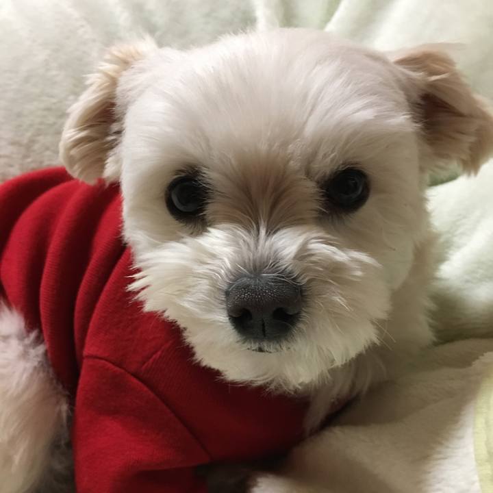 B731d44c d69f 4178 bbdb 252759434077 1519554027623