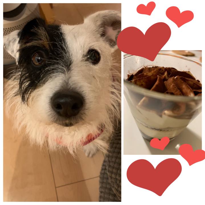 B732170b 9bb8 4438 bf3e 0177a8f5f4e9 1577278826041