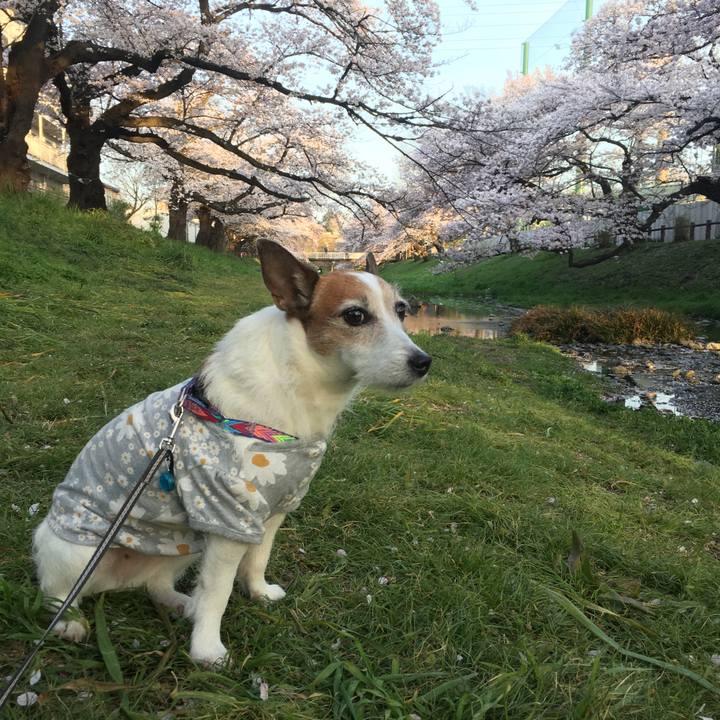 B7323aee 0dbe 43f3 8334 ac18b75f78d7 1649287616069