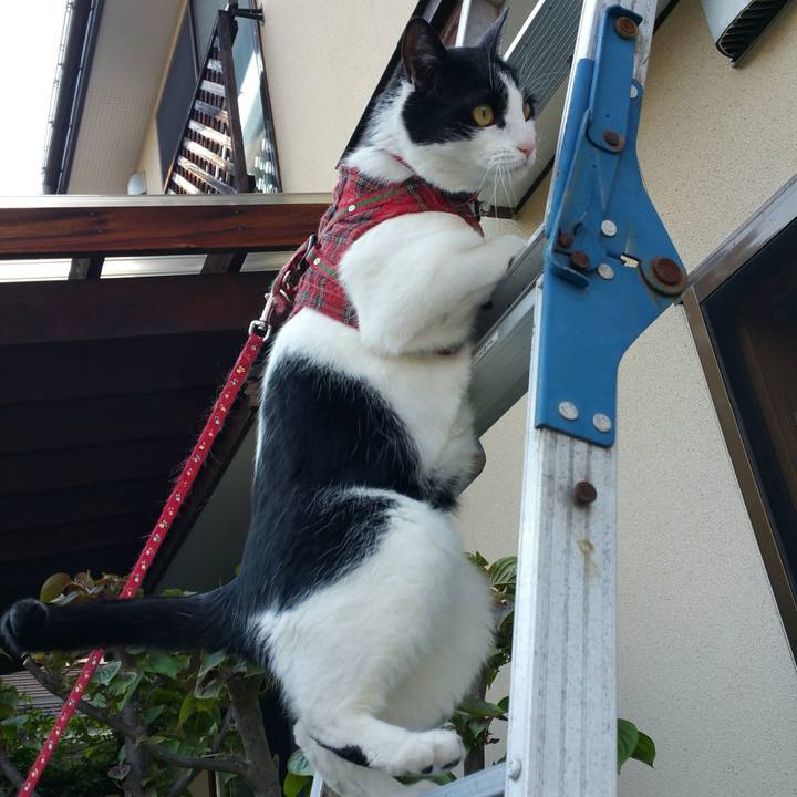 B7325400 05ee 485f b34e 3cd107872e33 1524899832871