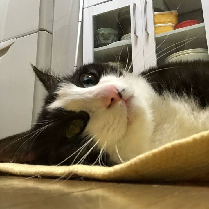 B732c236 a5ad 4eb5 8015 b7024a4d2b98 1522190451200