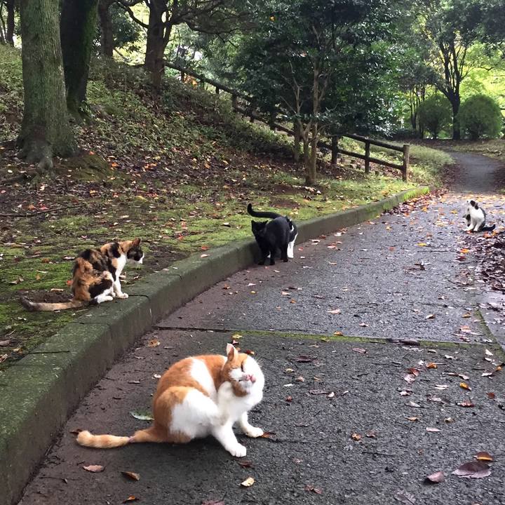 B732dd86 97ea 4901 a7d7 c74103317bbc 1537090394184