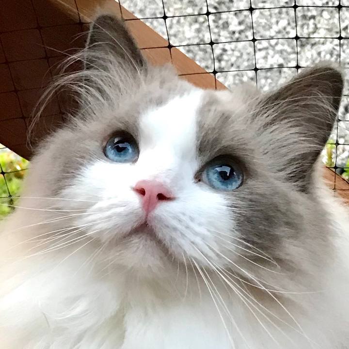 B732fbfc f7b2 4b61 b5c5 51c1a2430317 1596832780586