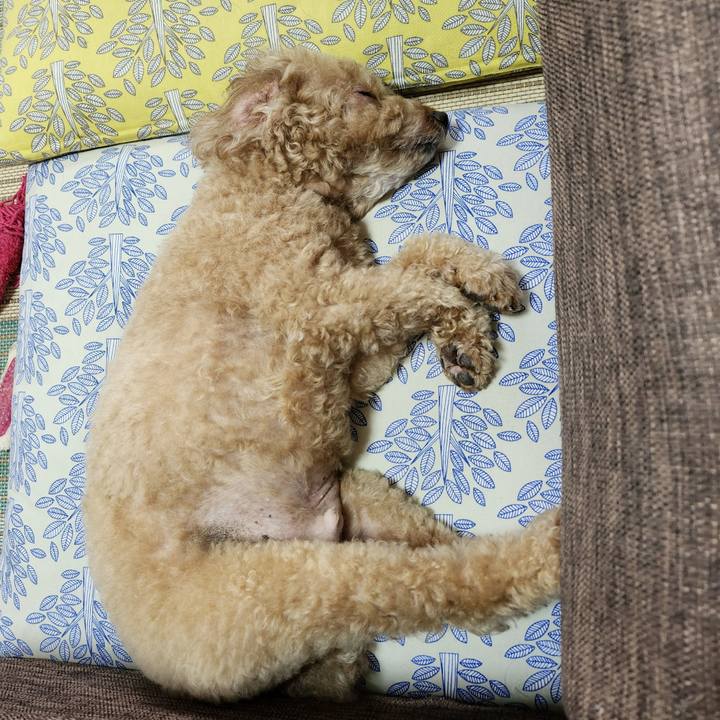 B7333fe8 be2f 4e53 bd35 a78dd865e027 1760570247830