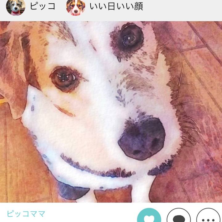 B73358c8 7cbe 4e5b 9d81 eeeaf2403dcf 1510874418600