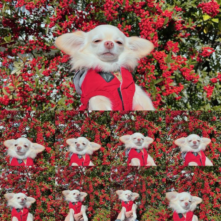 B7336b79 928b 4f8e b873 1818bf0fd813 1703397698547