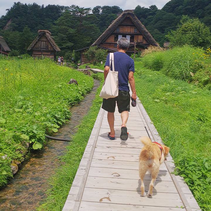 B73388de 14e9 445b 94a3 0e2c25d2861f 1563862736366