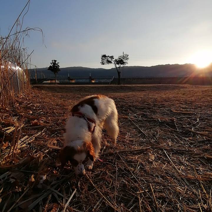 B733c53e 73b7 4ee5 a116 0421c215f7d0 1613783302186