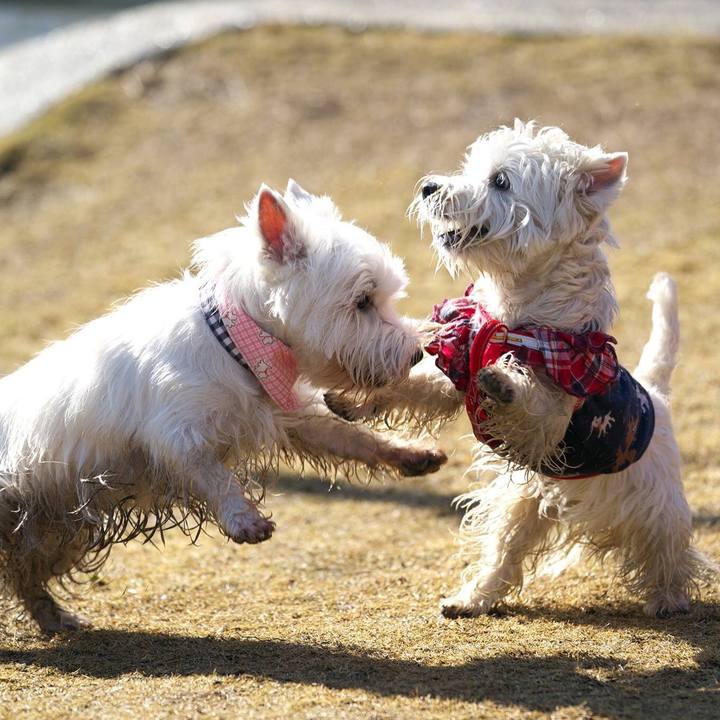 B733db39 04e3 4687 82dd 4560082f7239 1515329670390