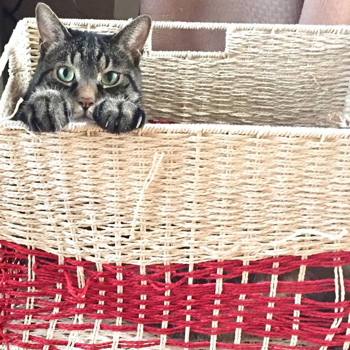 B733f587 f3a6 4dcd a129 7633a31d716a 1536654342540