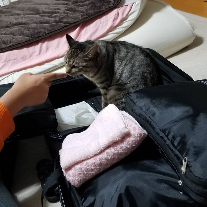 B734229d 587d 4c95 94ea c7d99f7747ad 1687792836212