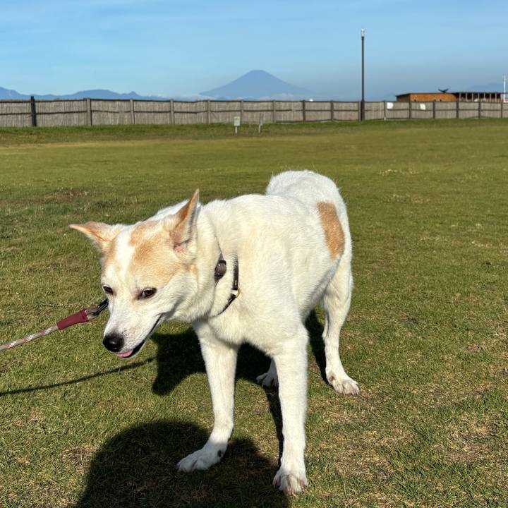 B73438f4 e5af 41da 8c49 ecb69ae92edd 1755948625180