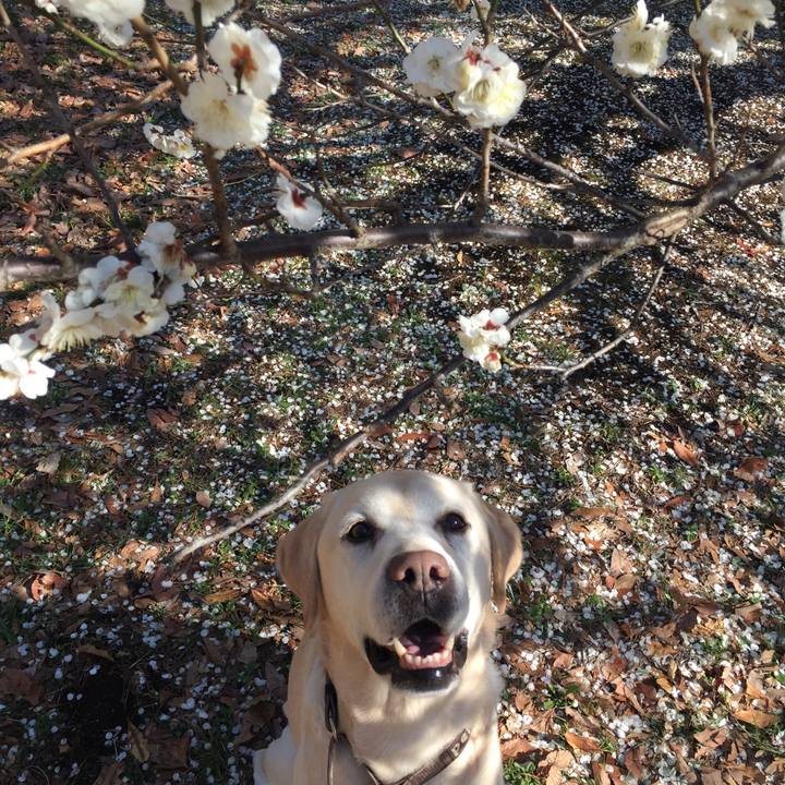 B7344206 697f 4c77 b8ee 589b51e7defe 1519895061683