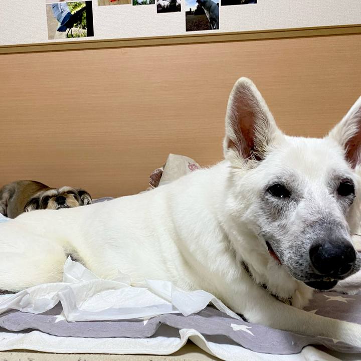 B7344ebb 8f17 4336 8bf4 733a0511ade9 1684491732454