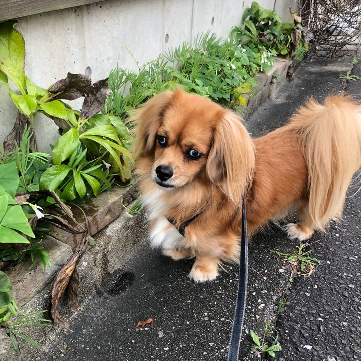 B7345aa0 6d6f 498a 8c40 ad60cae2de76 1539386285299