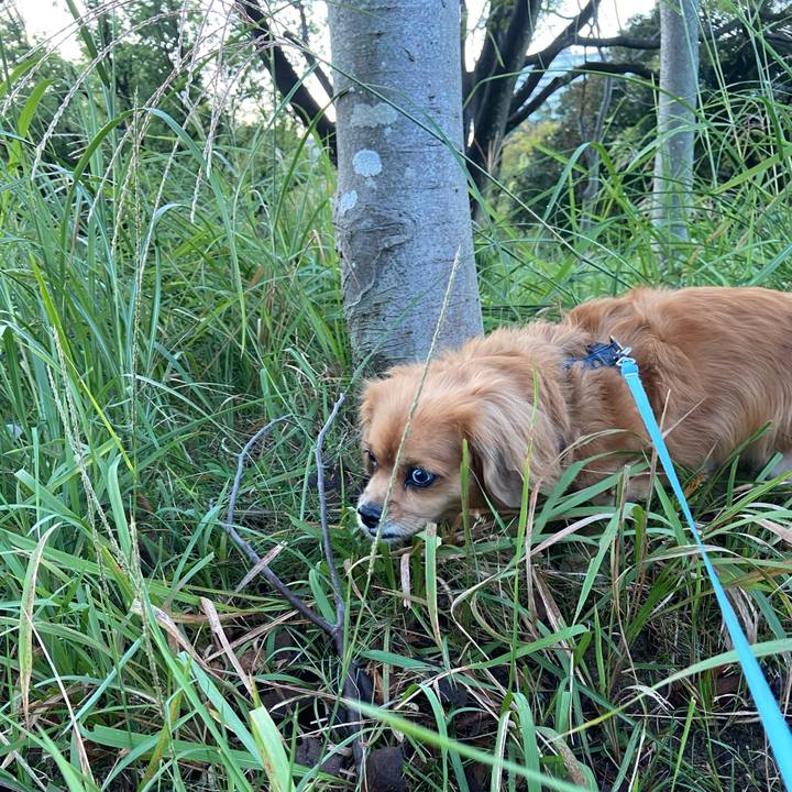 B7345d84 9f54 4869 9652 d8c2fcfcfe84 1602711603951