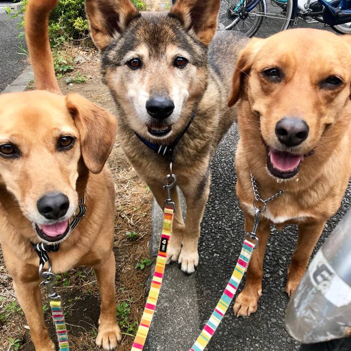 B73490fd 05df 45d3 af24 6b4bffdbb6b4 1557888473495