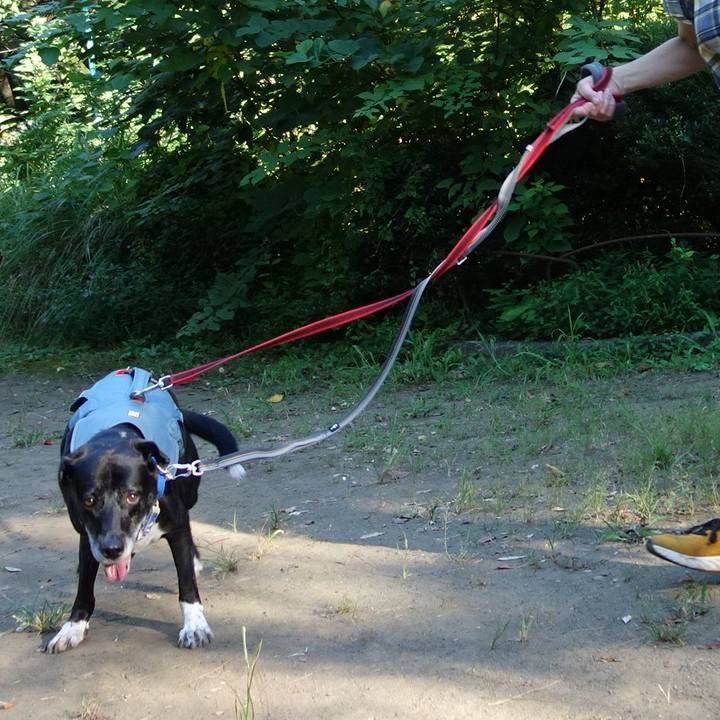 B734b62e 1f49 4a52 8638 da7aa5c67165 1726271053821