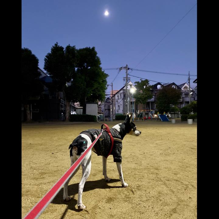 B734bcdb 8989 44b4 9490 adf3f4a1b353 1606946611181